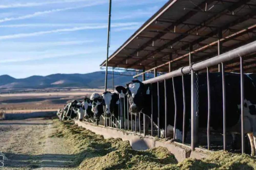Photo of Outdoor in Beaver County
