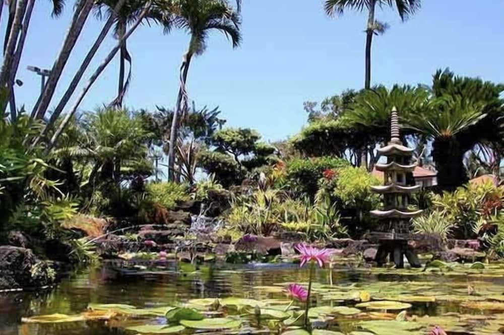 Photo of Outdoor in Kapaa