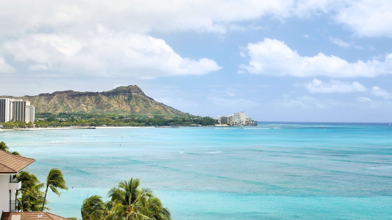 Photo of Others in Waikiki