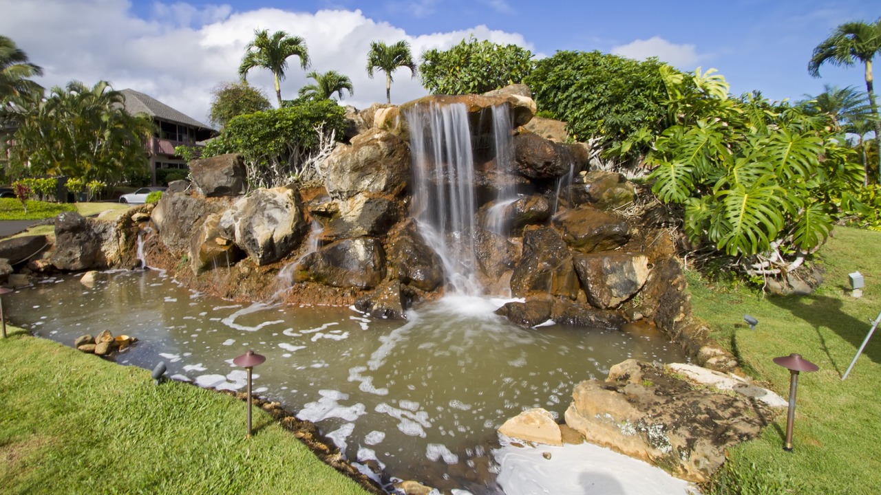 Photo of Outdoor in Princeville