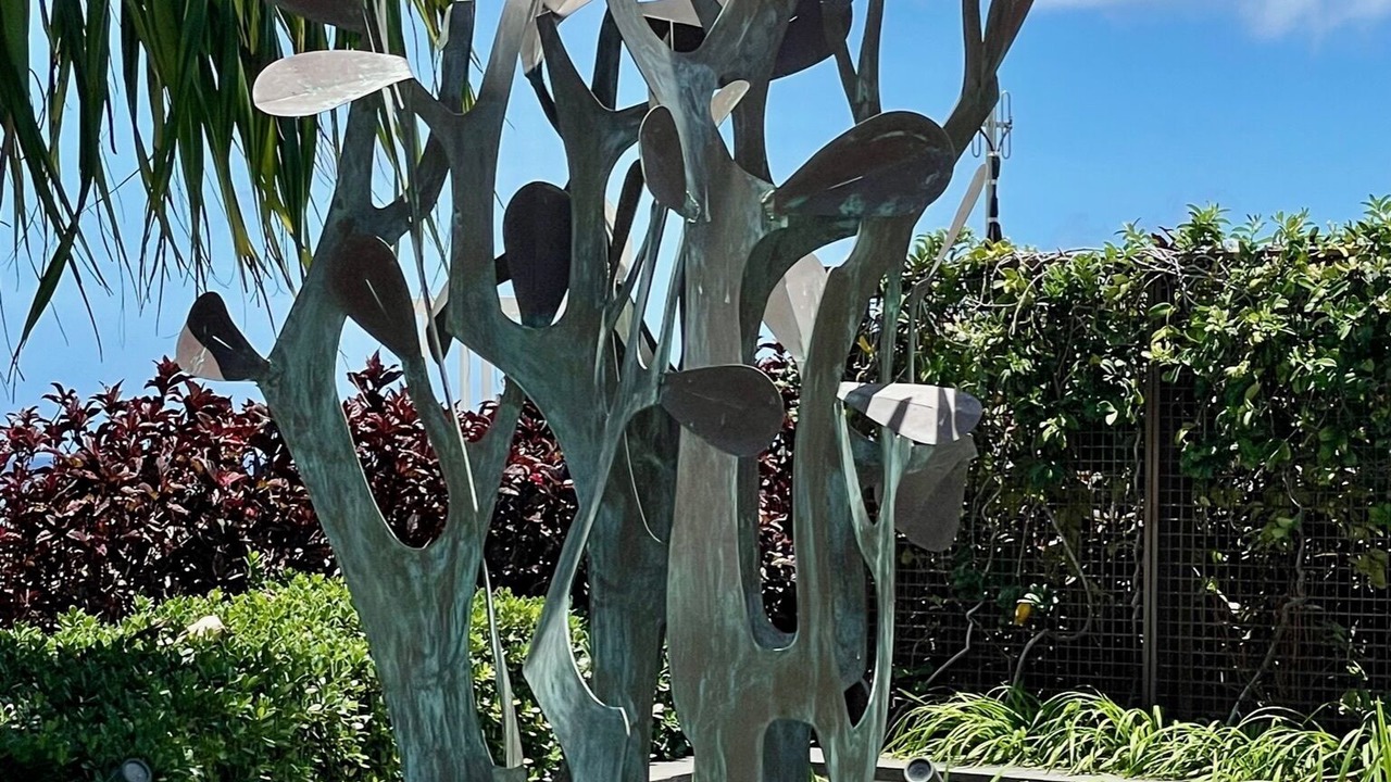 Photo of Outdoor in Kaka'ako