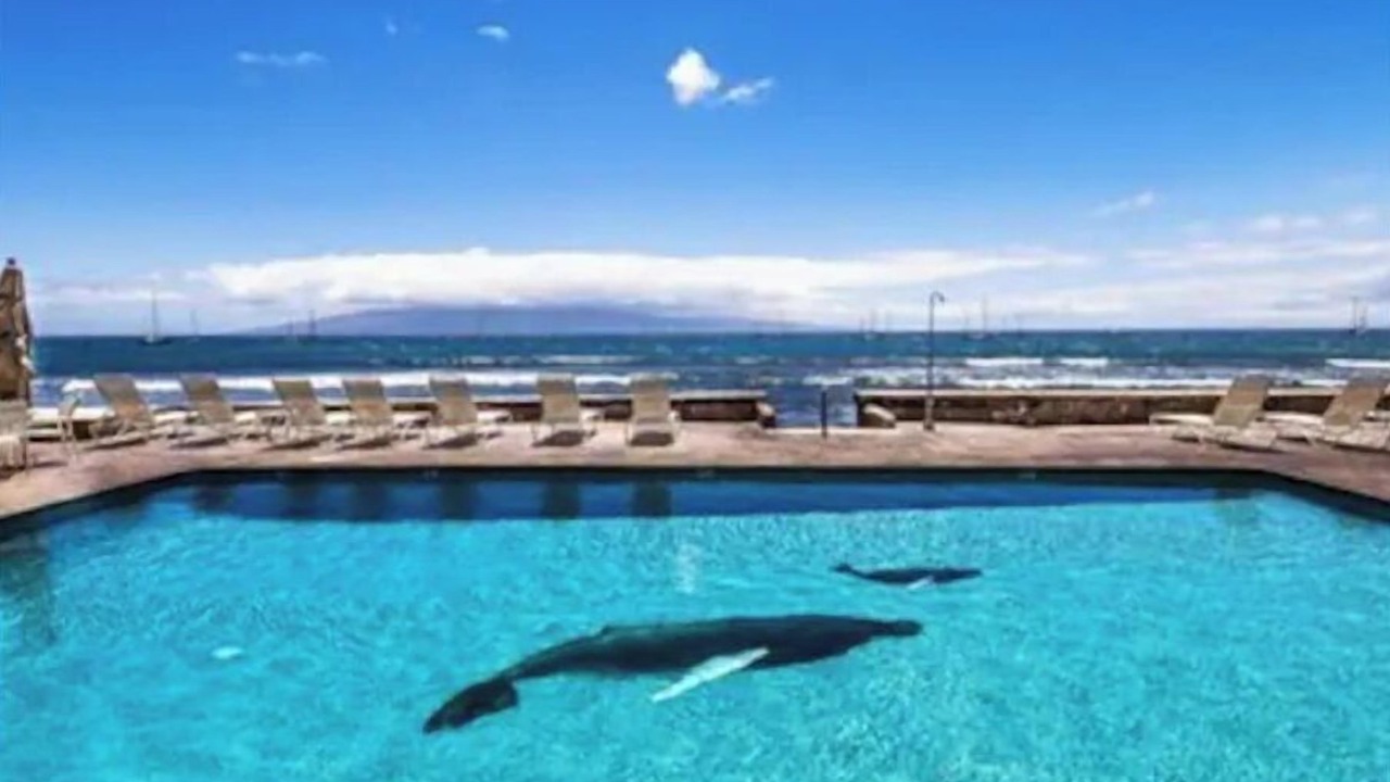Photo of Outdoor in Historic Lahaina Front Street