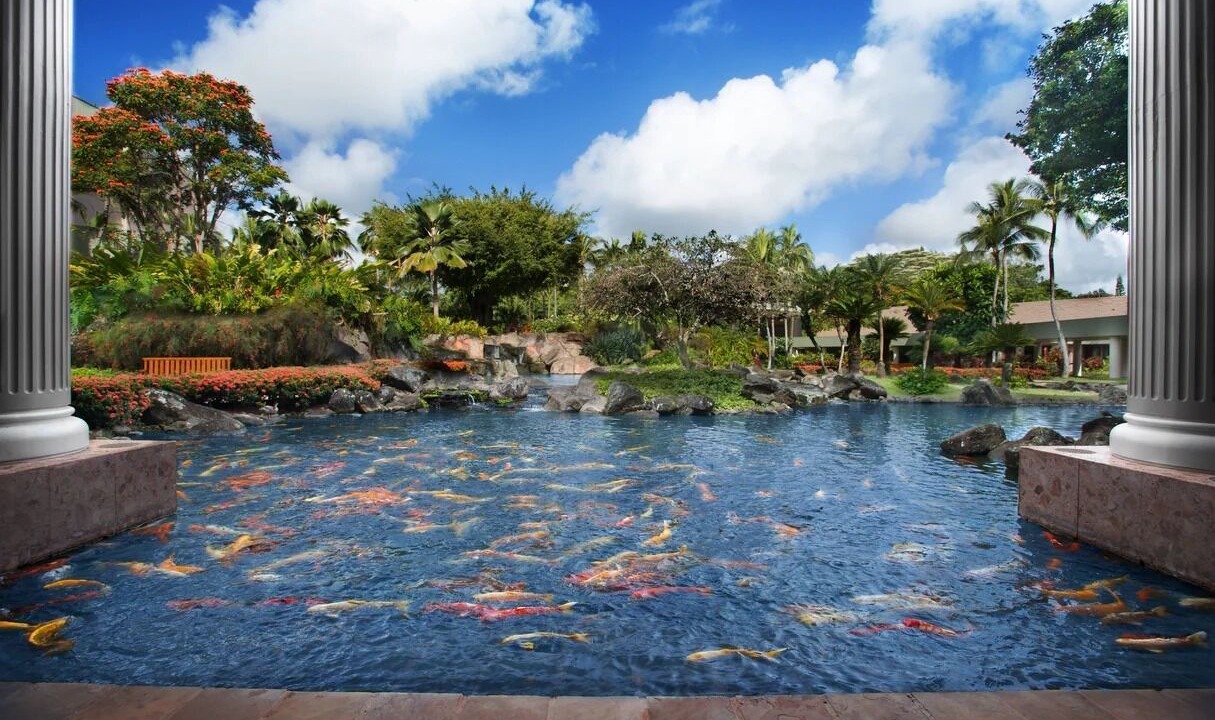 Photo of Outdoor in Lihue