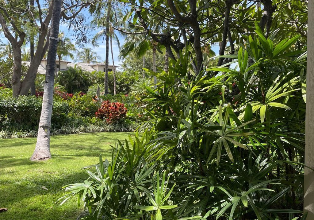 Photo of Outdoor in Kamuela