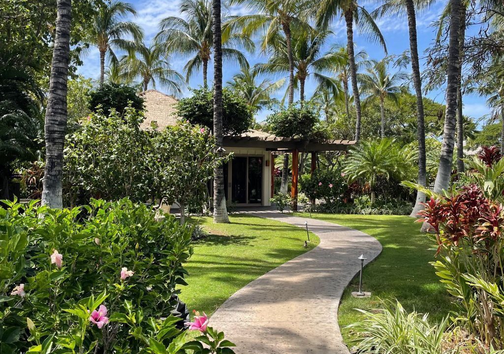 Photo of Outdoor in Kamuela