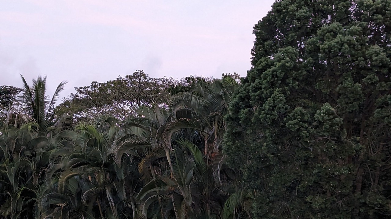 Photo of Others in Keaau