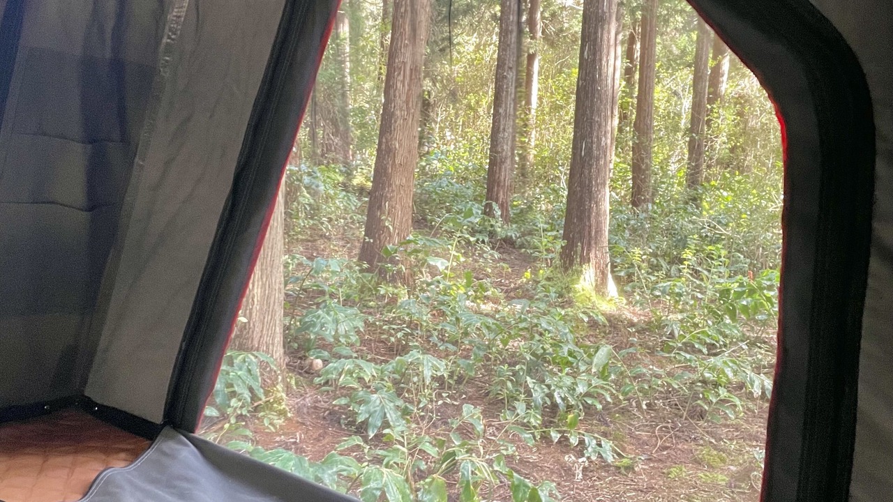 Photo of Others in Kapaa