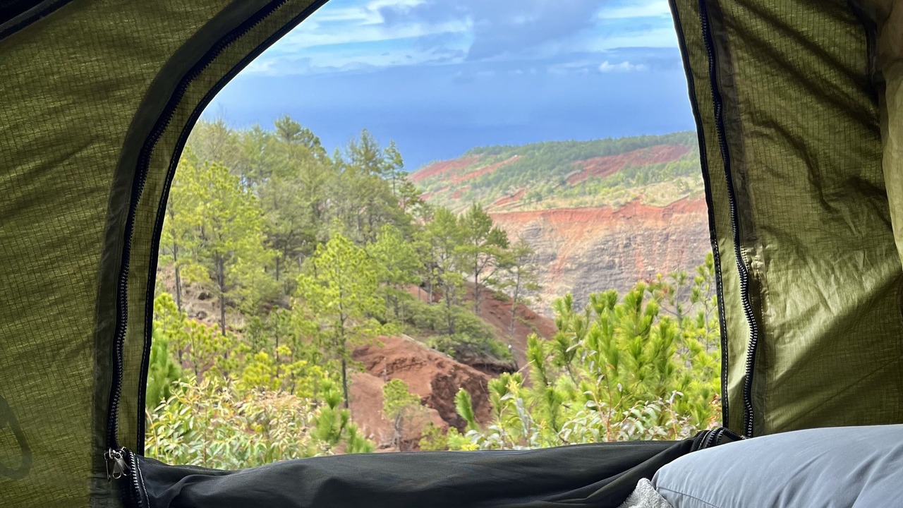 Photo of Bedroom in Kapaa