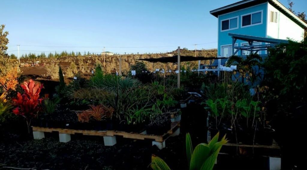 Photo of Outdoor in Ocean View
