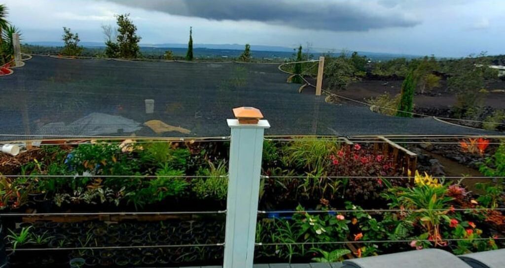 Photo of Outdoor in Ocean View