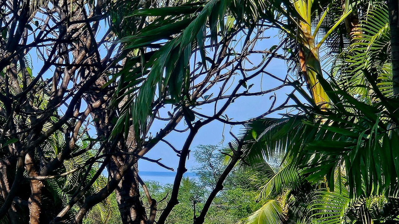Photo of Others in Kihei