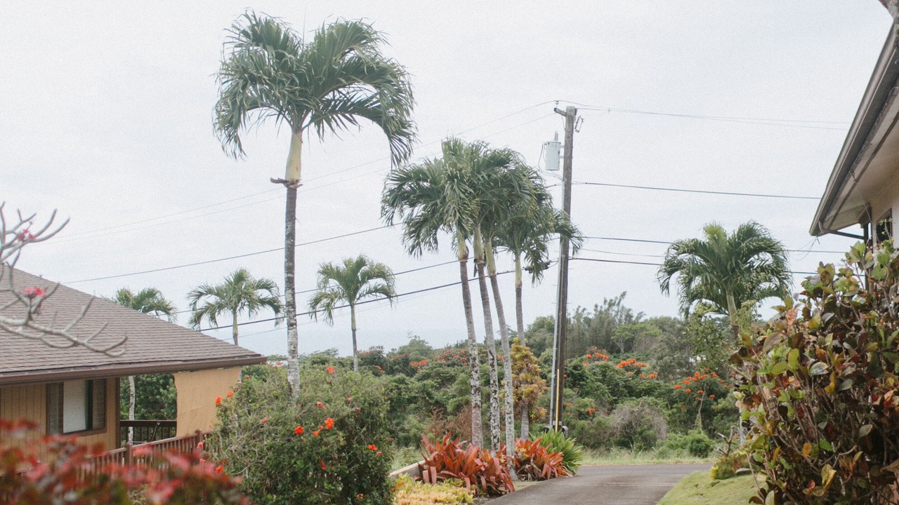 Photo of Outdoor in Kalaheo