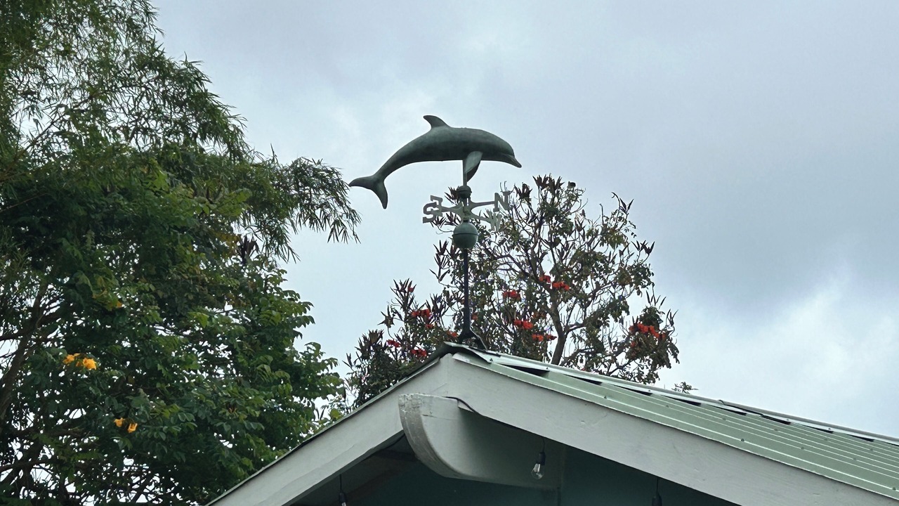 Photo of Outdoor in Holualoa