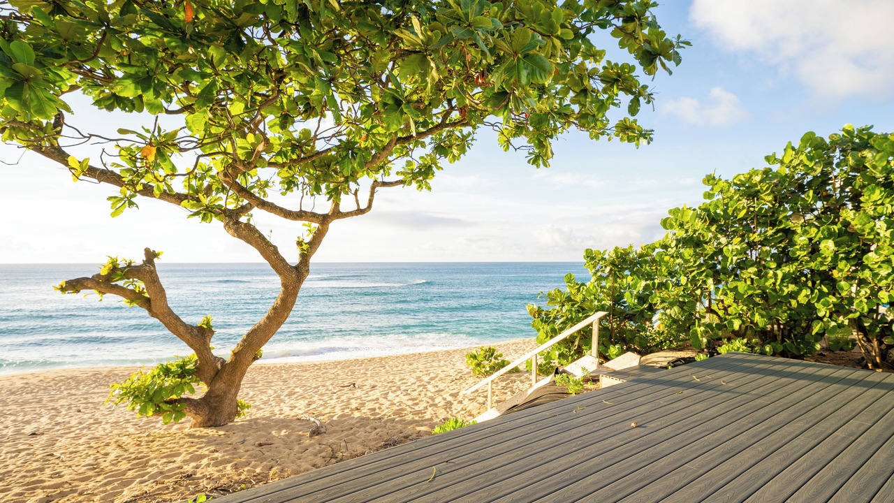 Photo of Others in Pupukea