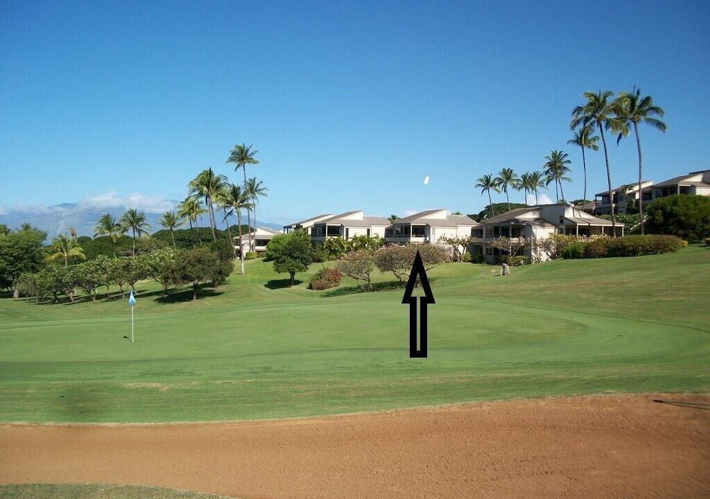 Photo of Others in Wailea