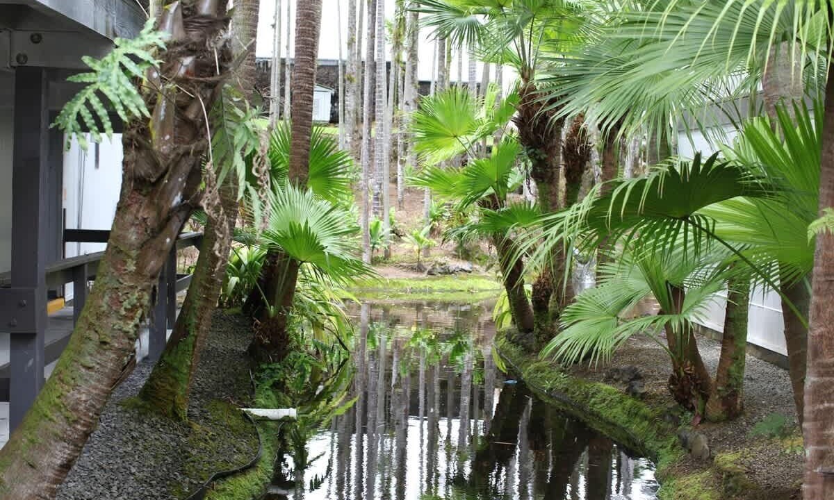 Photo of Others in Hilo