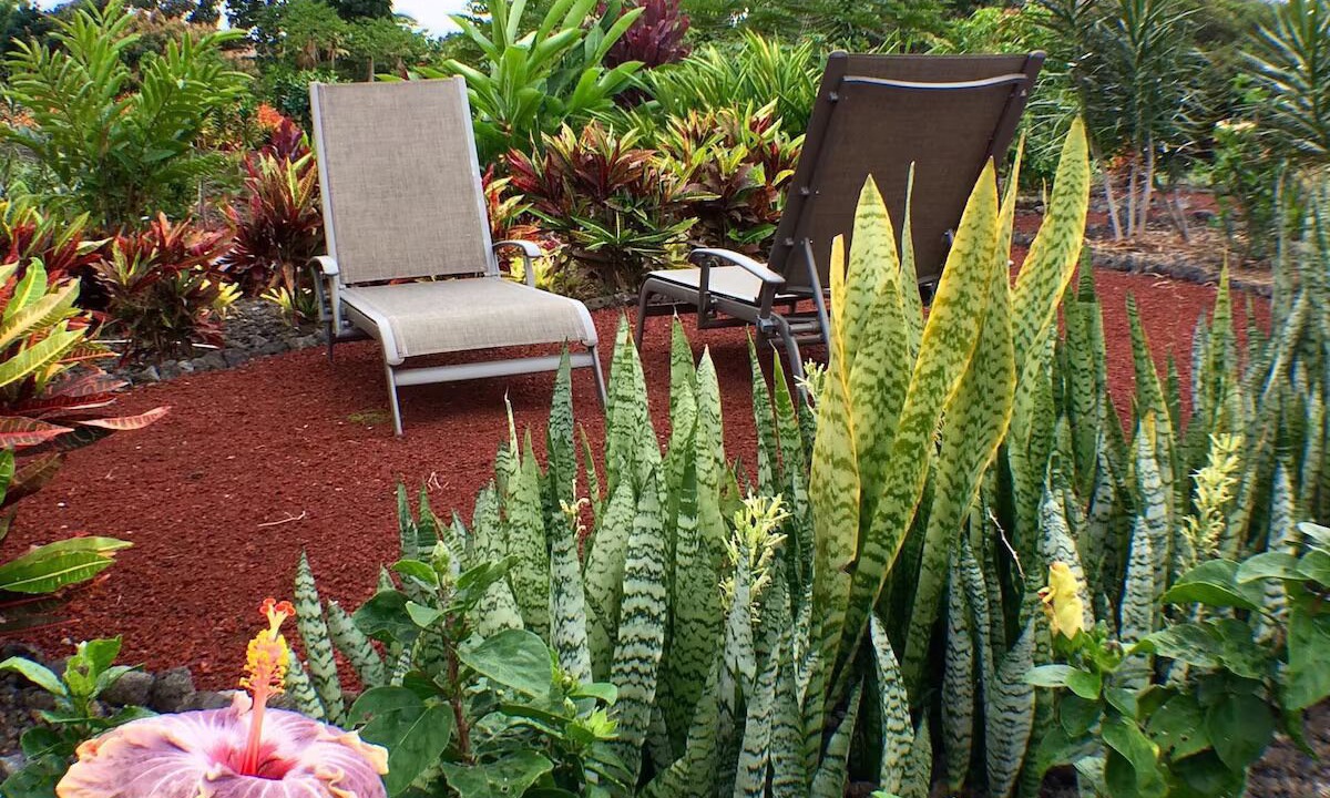 Photo of Outdoor in Kailua-Kona