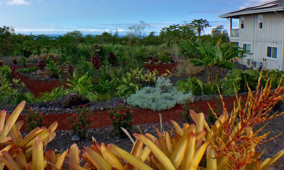Photo of Outdoor in Kailua-Kona