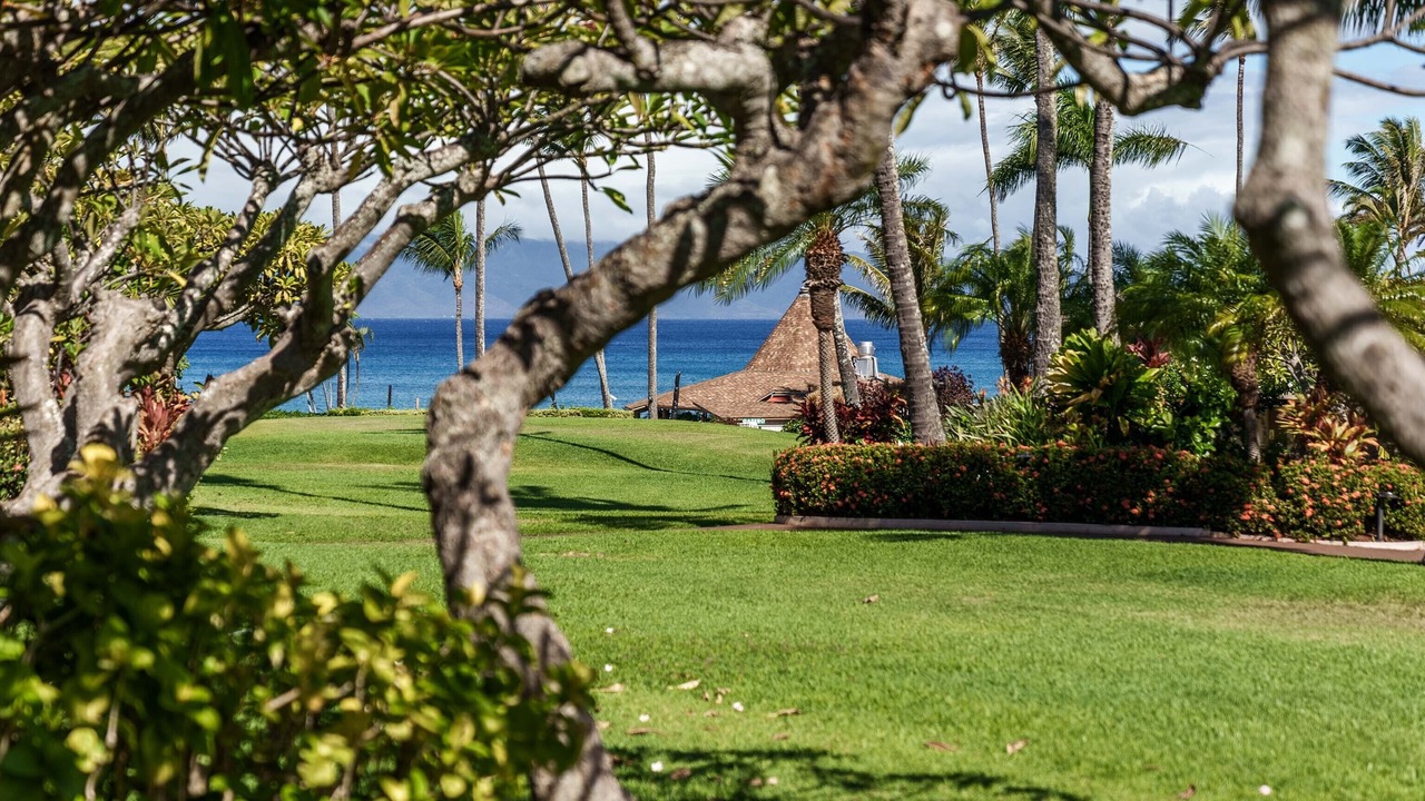 Photo of Outdoor in Napili