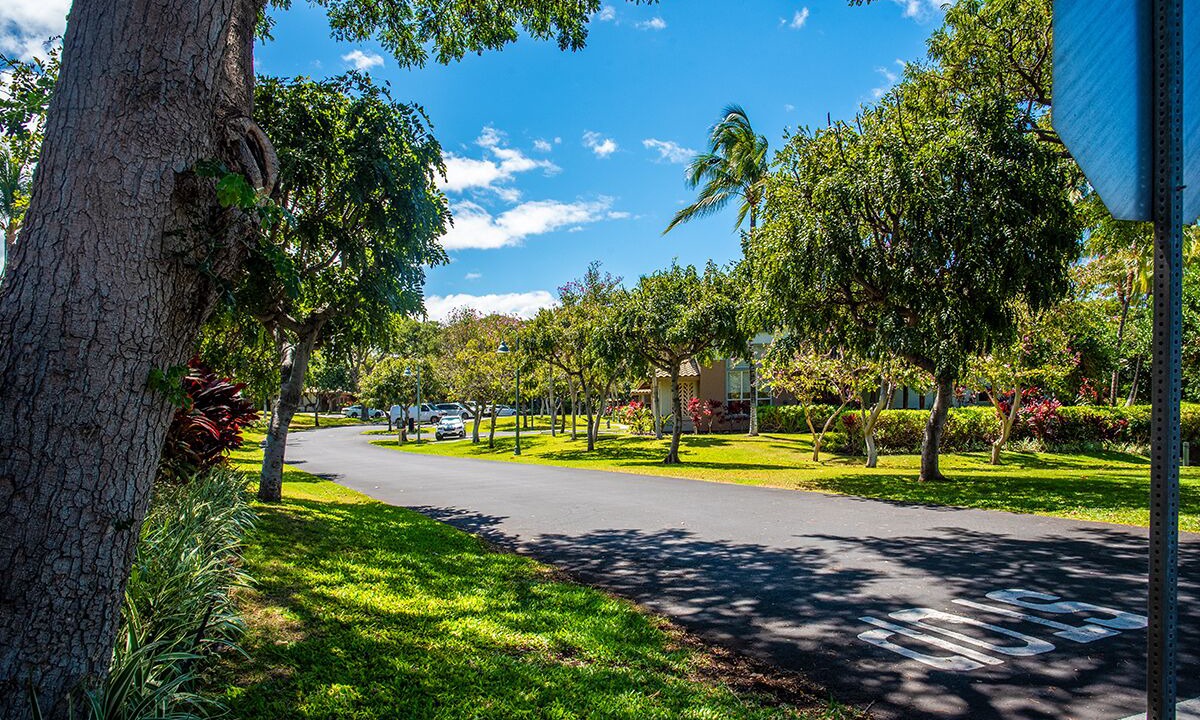 Photo of Outdoor in Kamuela