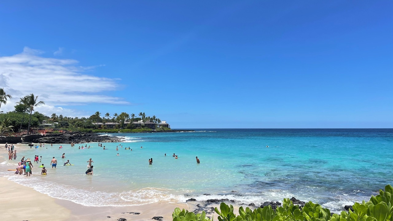 Photo of Others in Kahaluu Bay