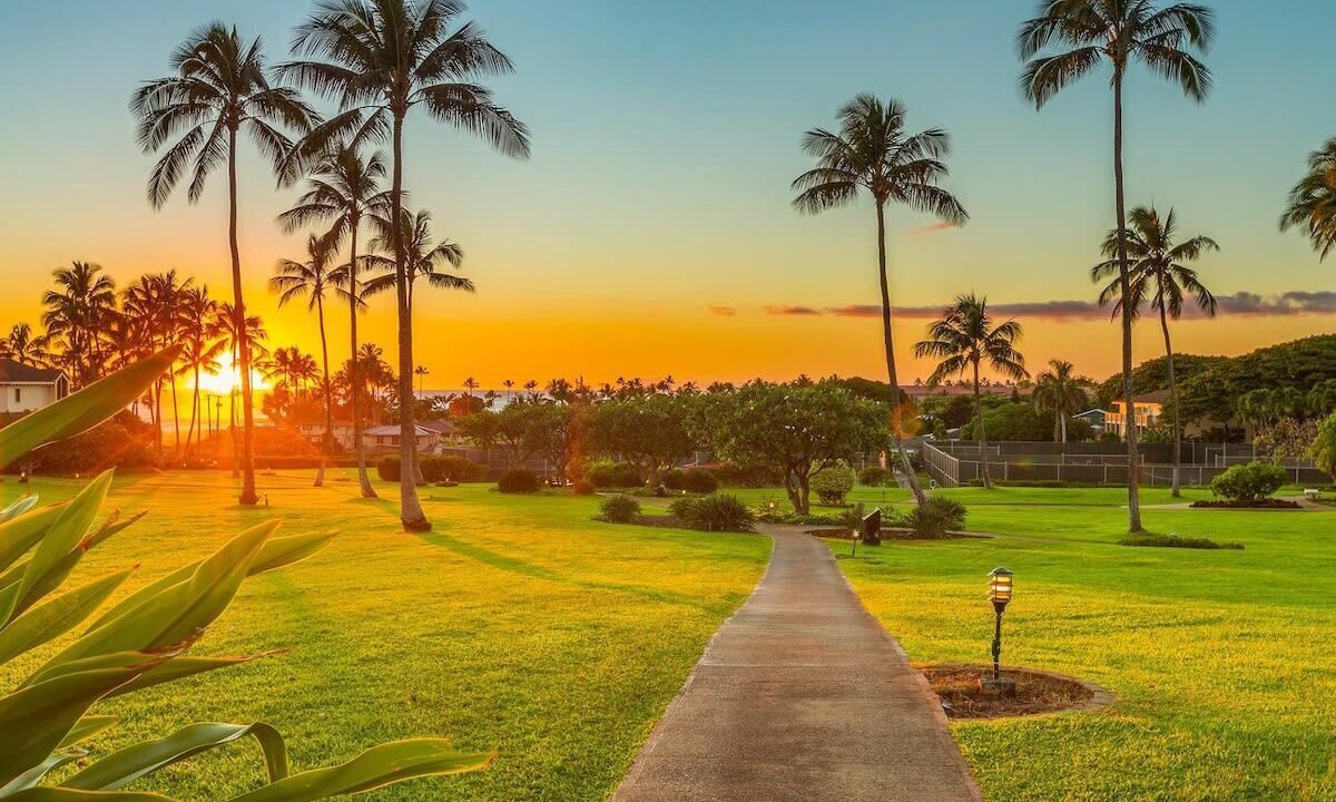 Photo of Others in Poipu