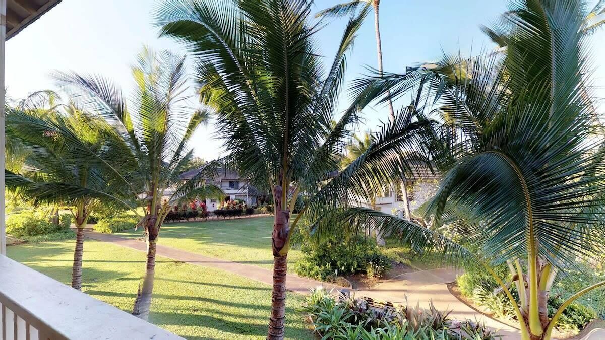 Photo of Others in Poipu