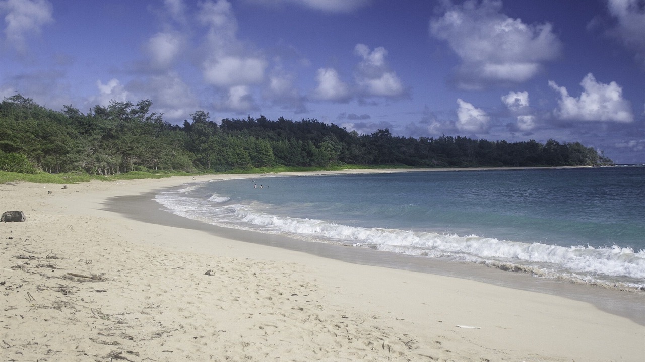 Photo of Others in Laie