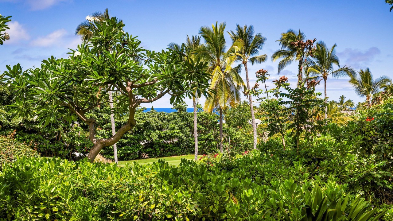 Photo of Outdoor in Keauhou