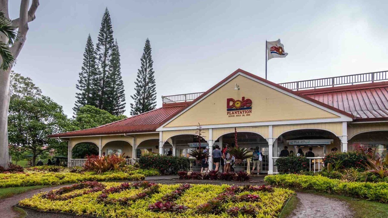 Photo of Outdoor in Laie