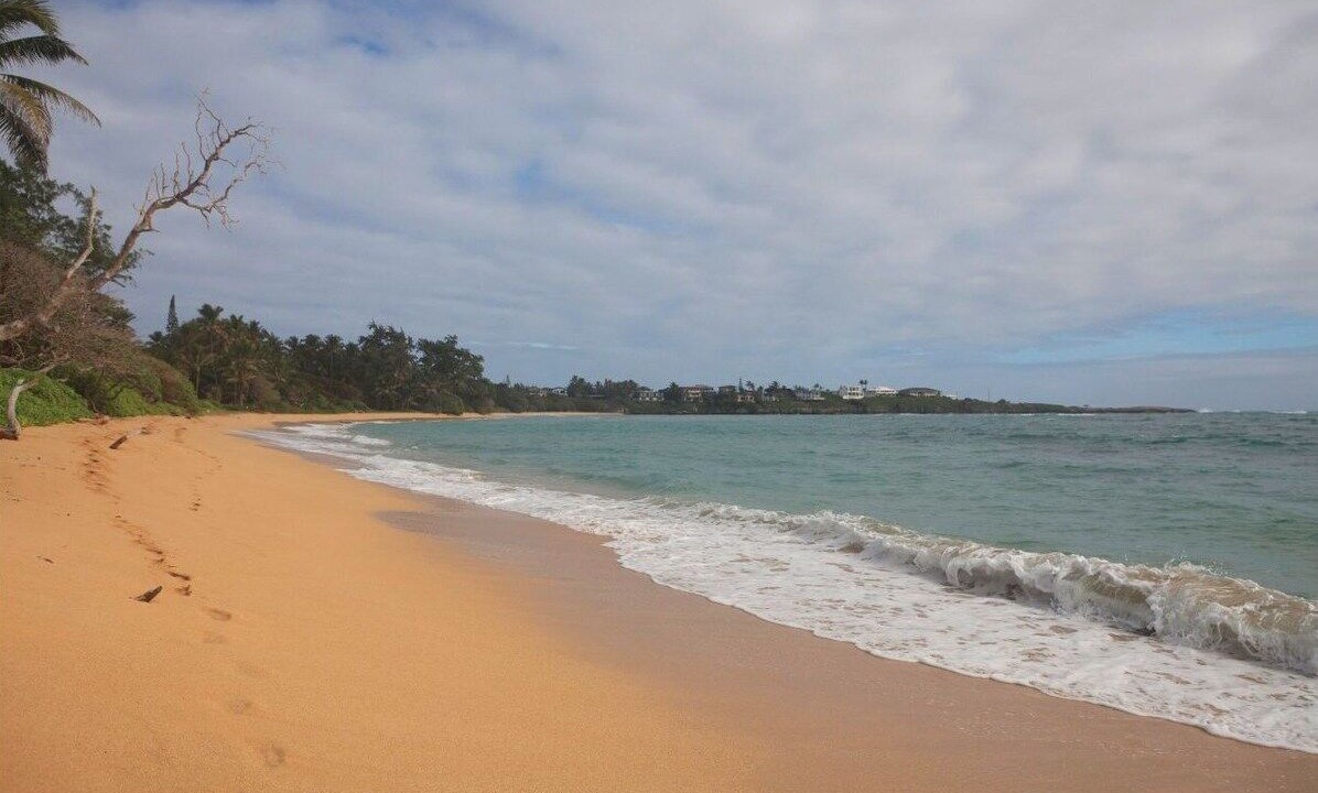 Photo of Others in Laie