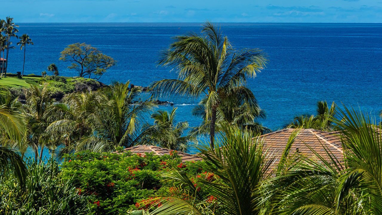Photo of Others in Wailea