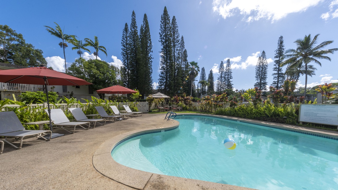 Photo of Outdoor in Princeville