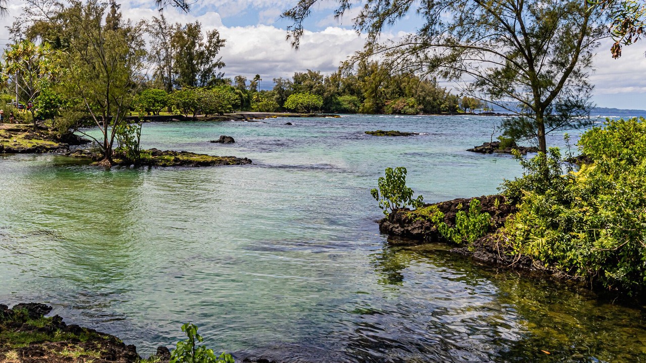 Photo of Others in Hilo