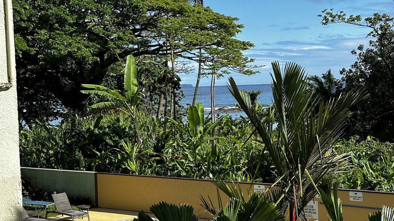 Photo of Others in Hilo