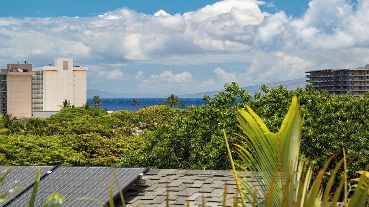 Photo of Others in Kaanapali