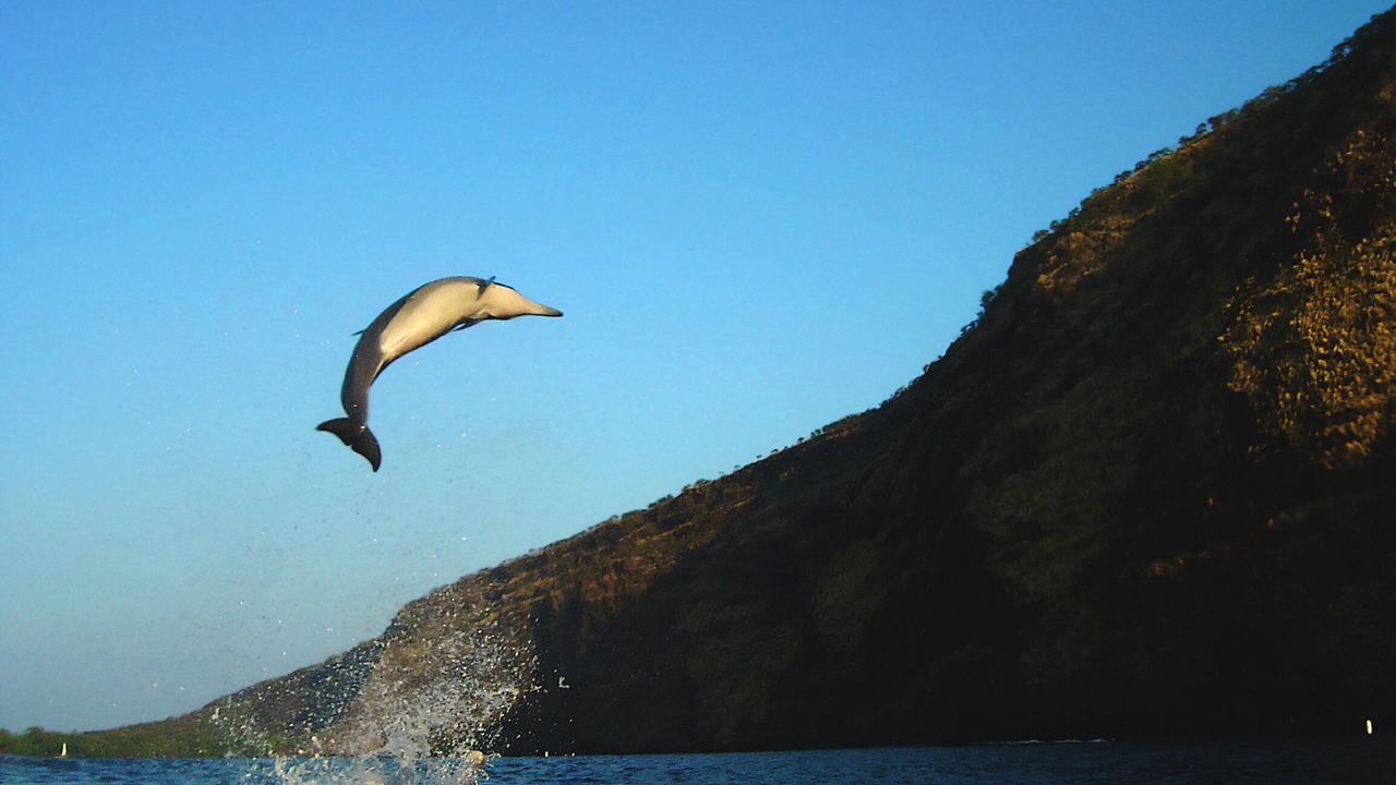 Photo of Others in Honaunau-Napoopoo