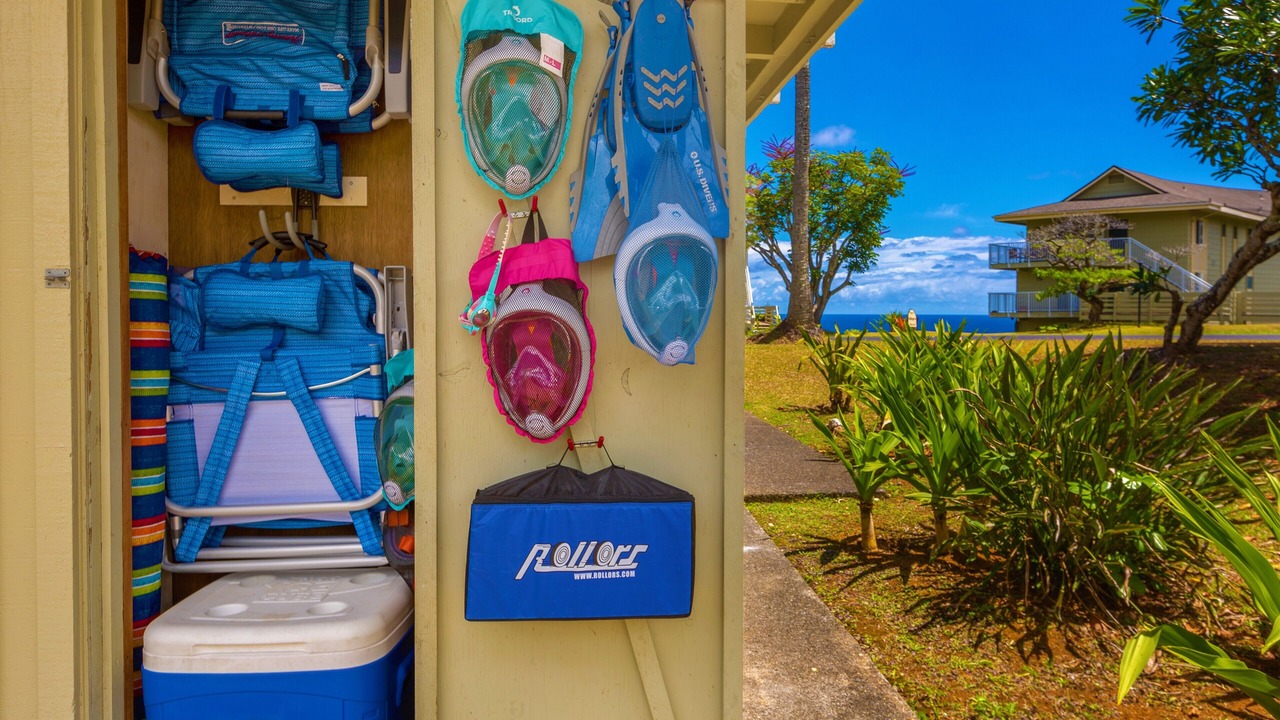 Photo of Outdoor in Princeville