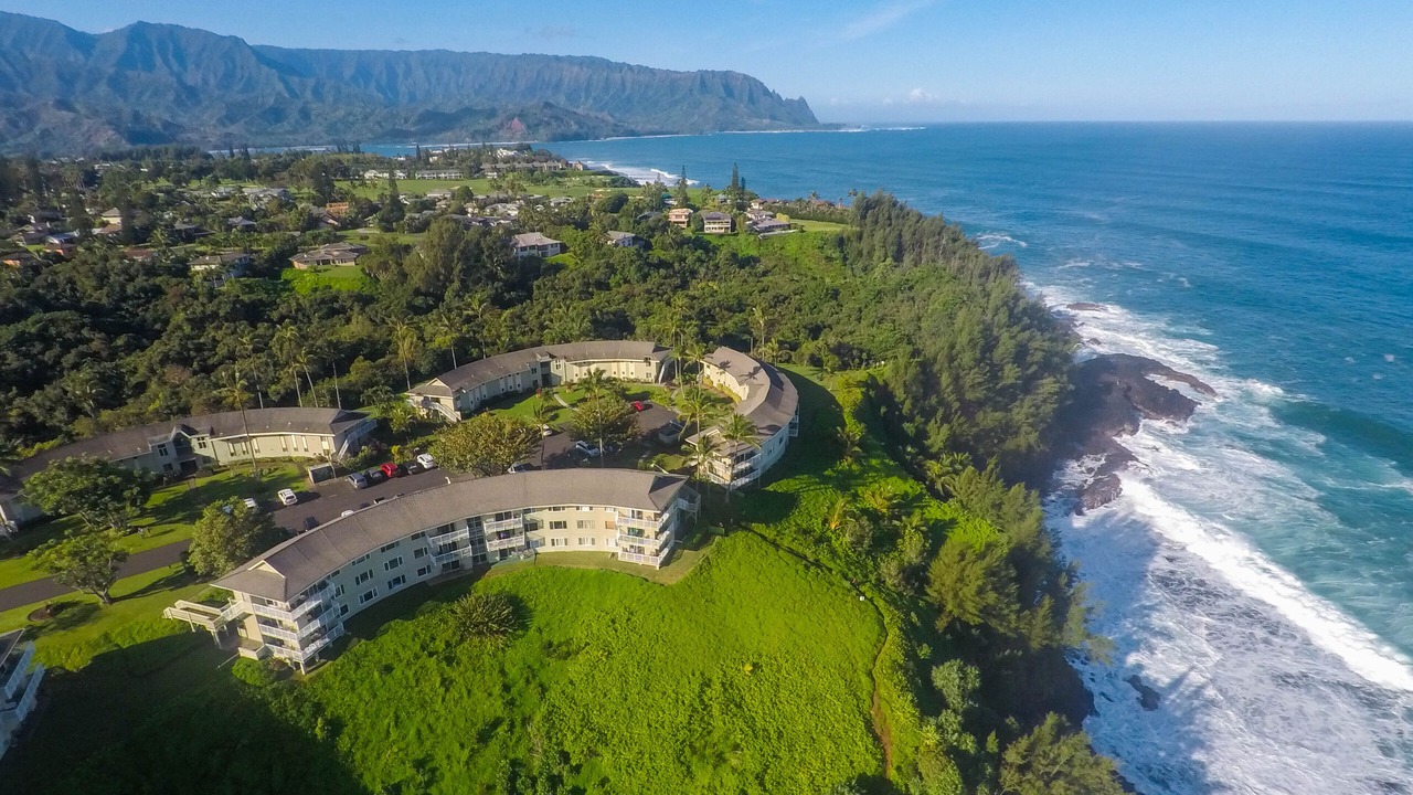 Photo of Others in Princeville