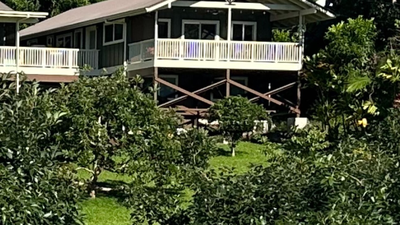 Photo of Outdoor in Holualoa