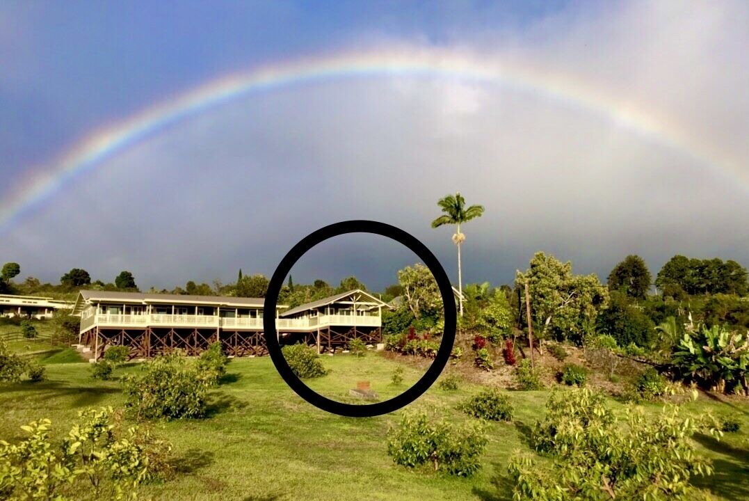 Photo of Outdoor in Holualoa