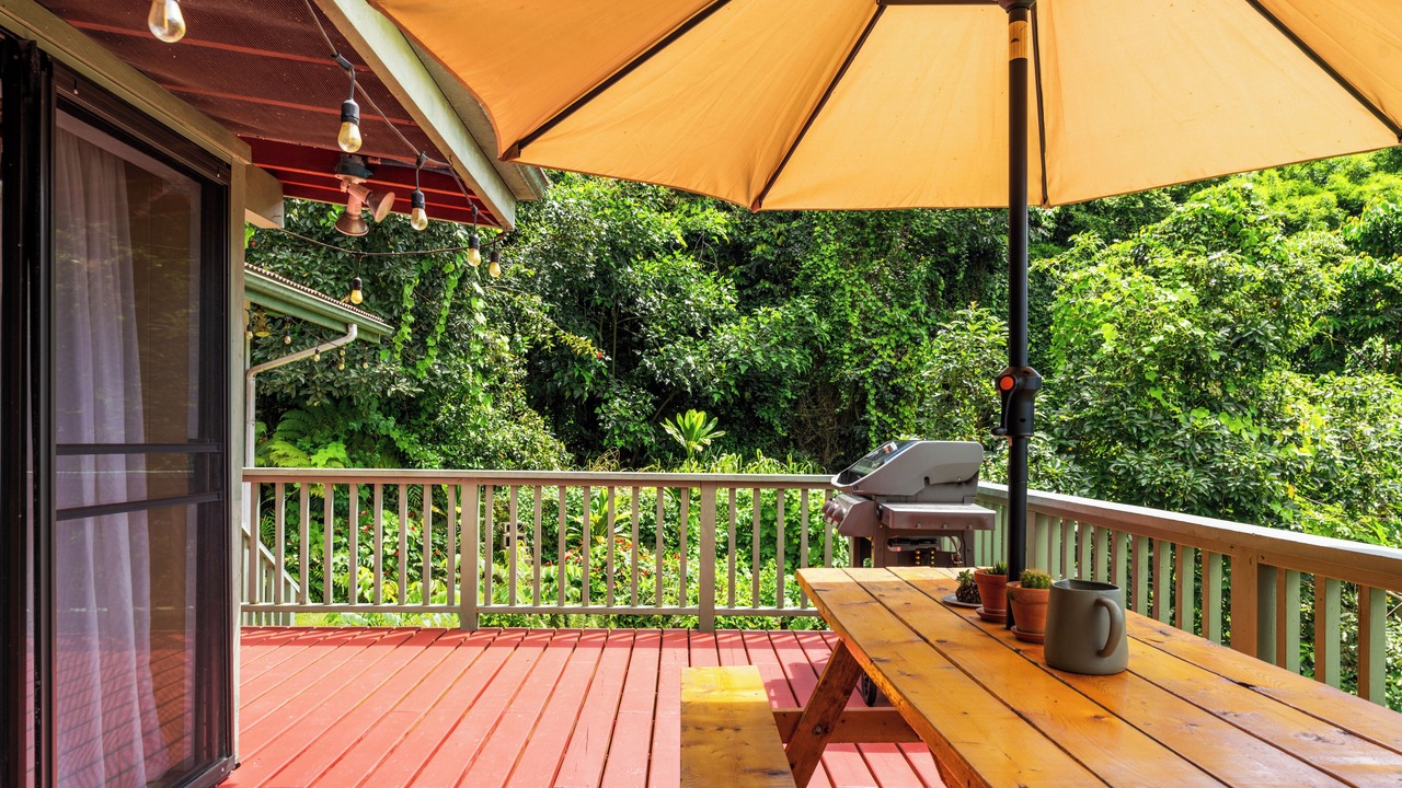 Photo of Outdoor in Holualoa