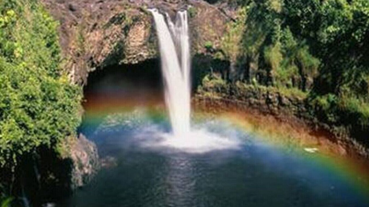 Photo of Others in Hilo