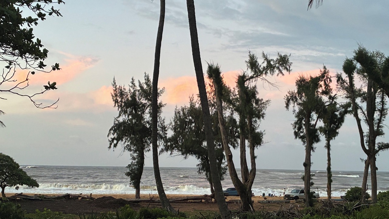 Photo of Others in Anahola