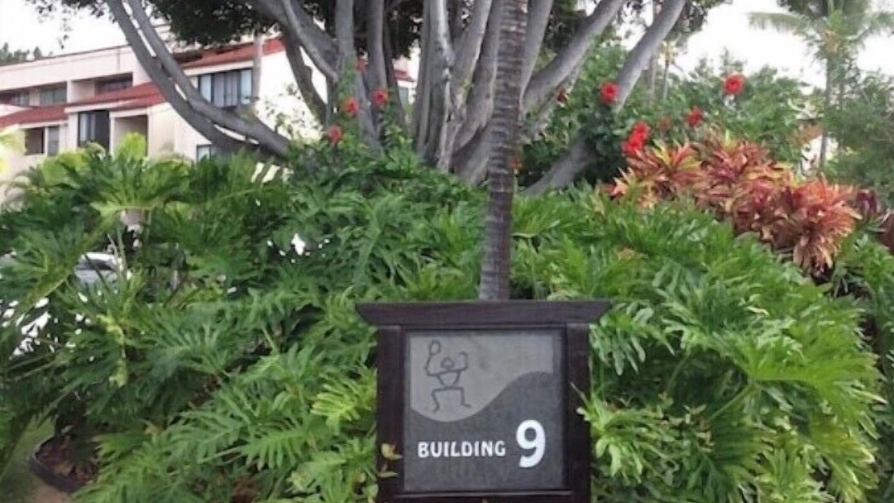 Photo of Others in Kahaluu-Keauhou