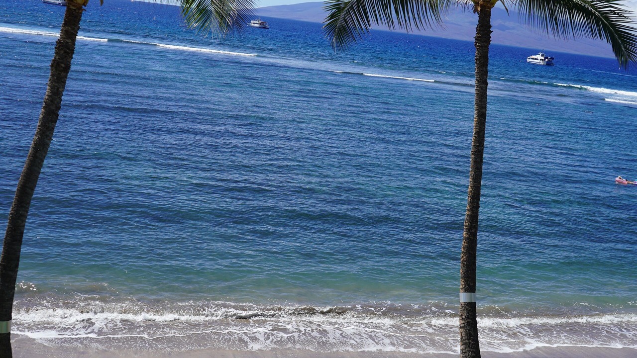 Photo of Others in Historic Lahaina Front Street