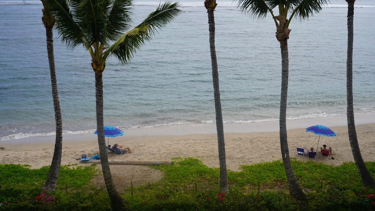 Photo of Others in Historic Lahaina Front Street