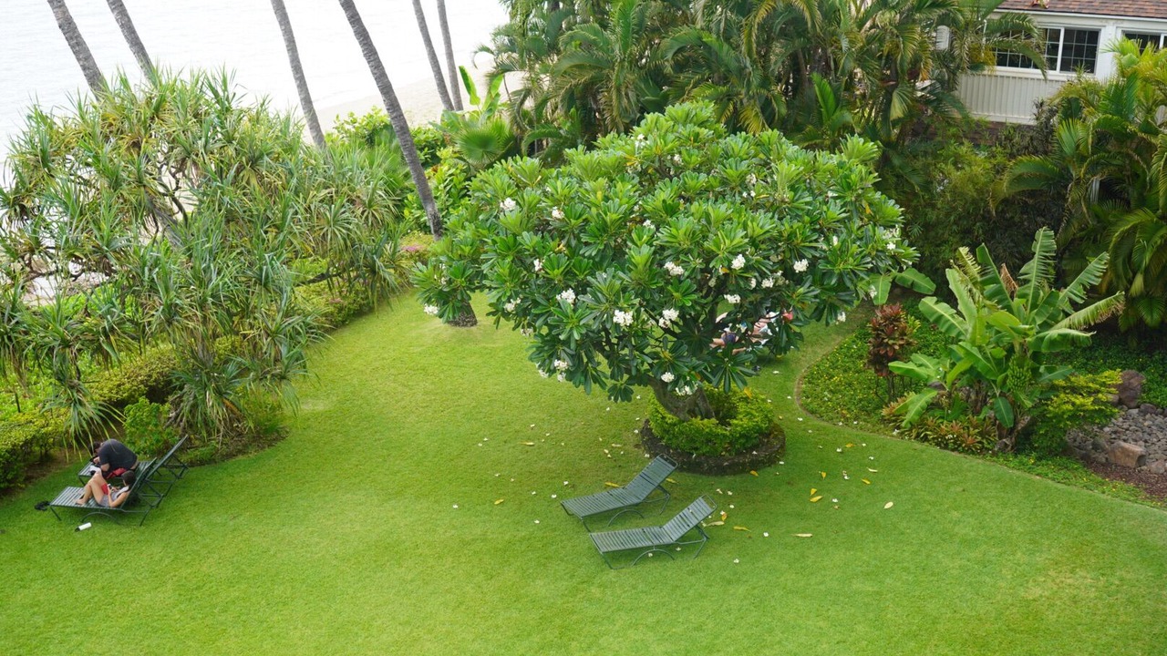 Photo of Outdoor in Historic Lahaina Front Street