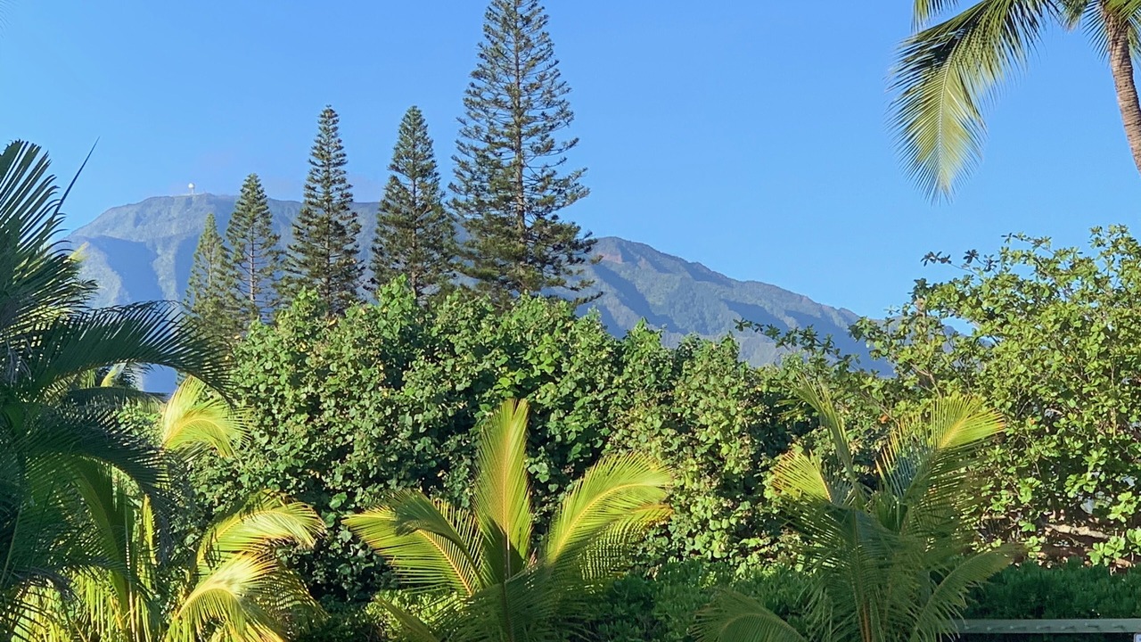 Photo of Others in Waialee
