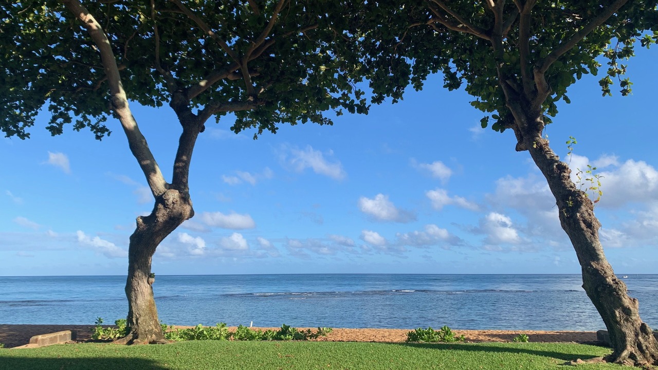 Photo of Others in Waialee